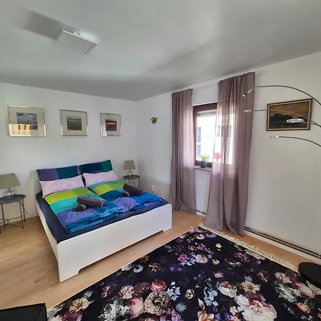 Apartman Moguntia 2 - Zentral Naehe Zdf Und Universitaet Mainz